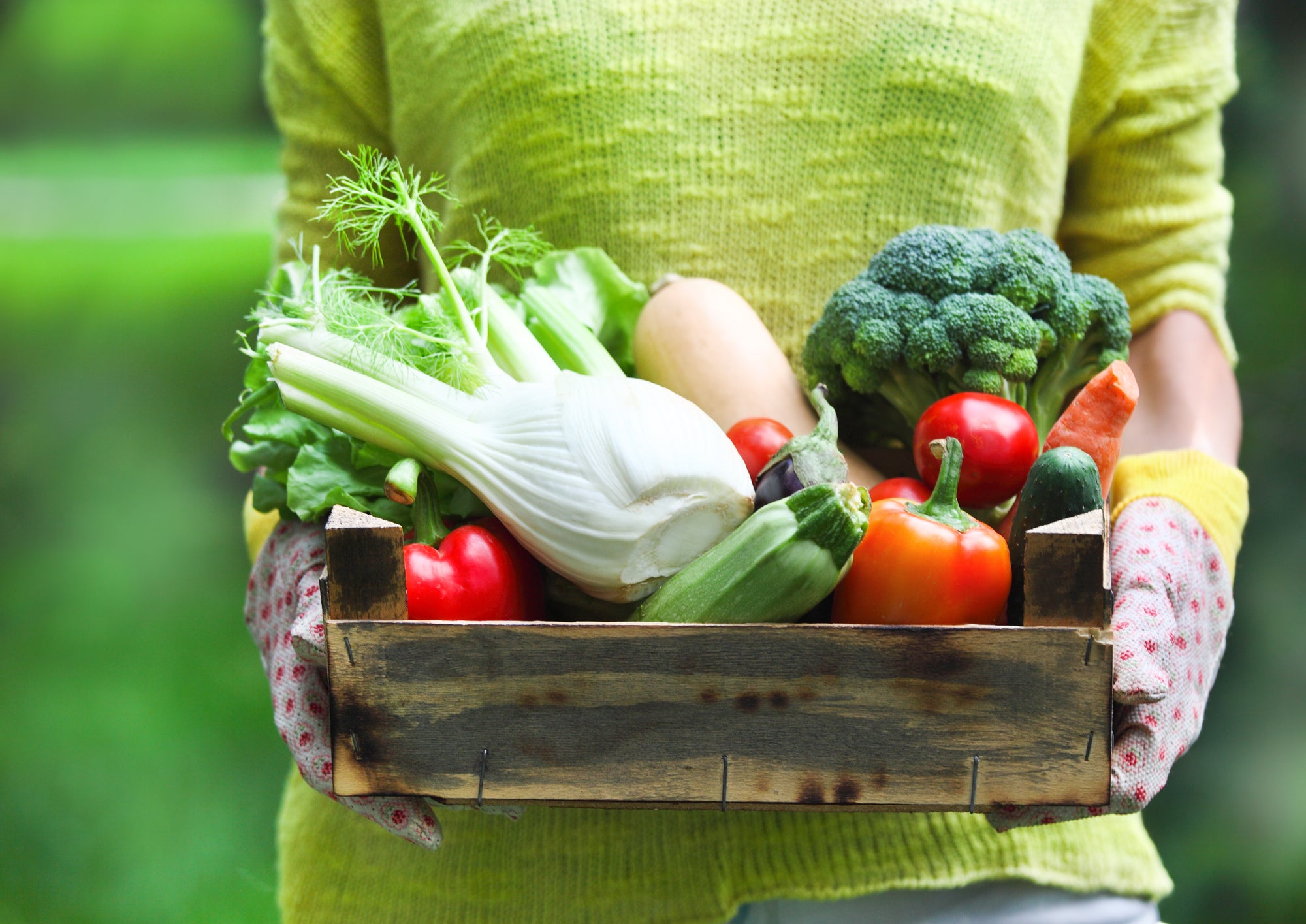 A women holds a crate of fresh vegetables in a green outdoor setting.