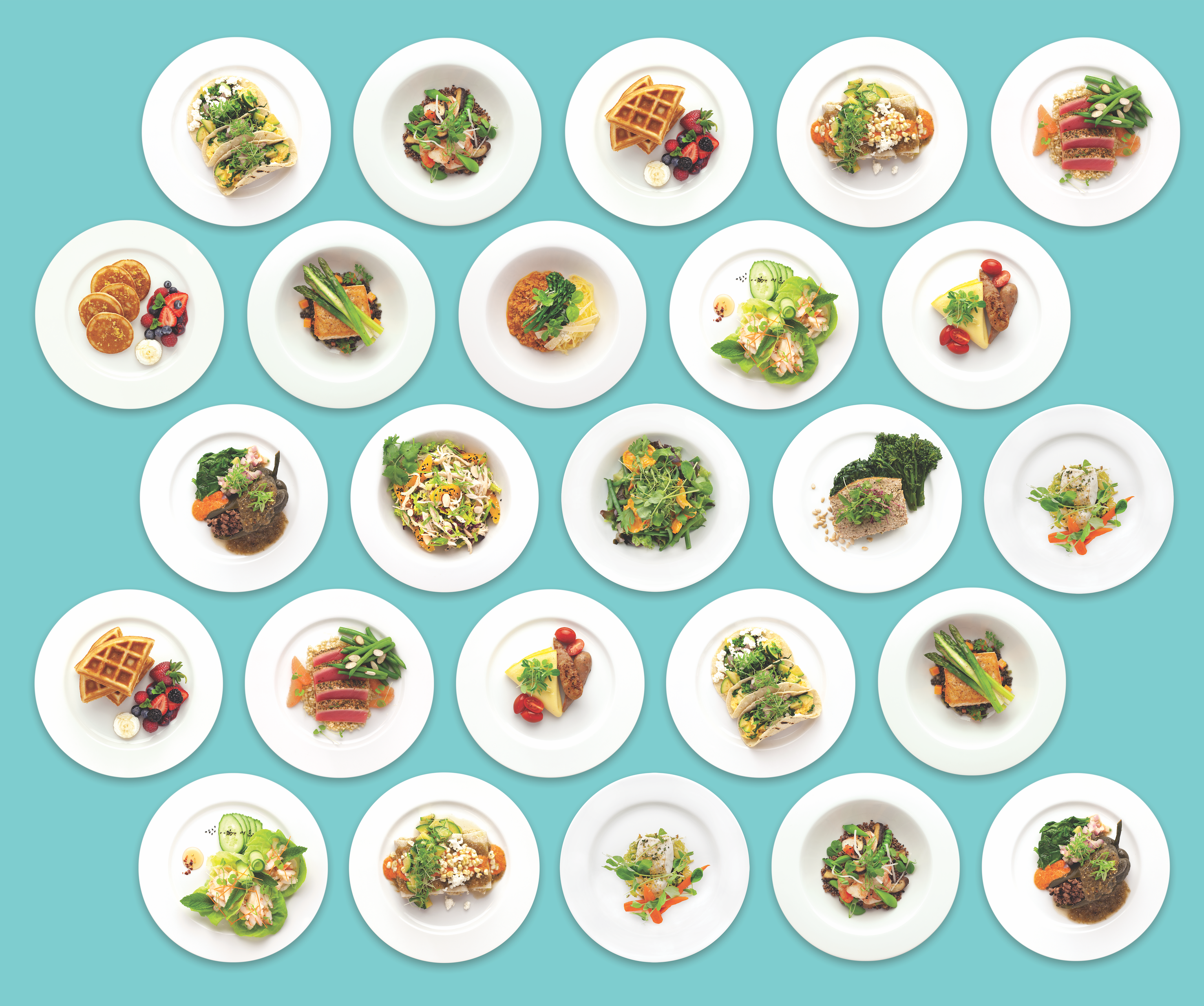Plates Pattern Kooshi Gourmet