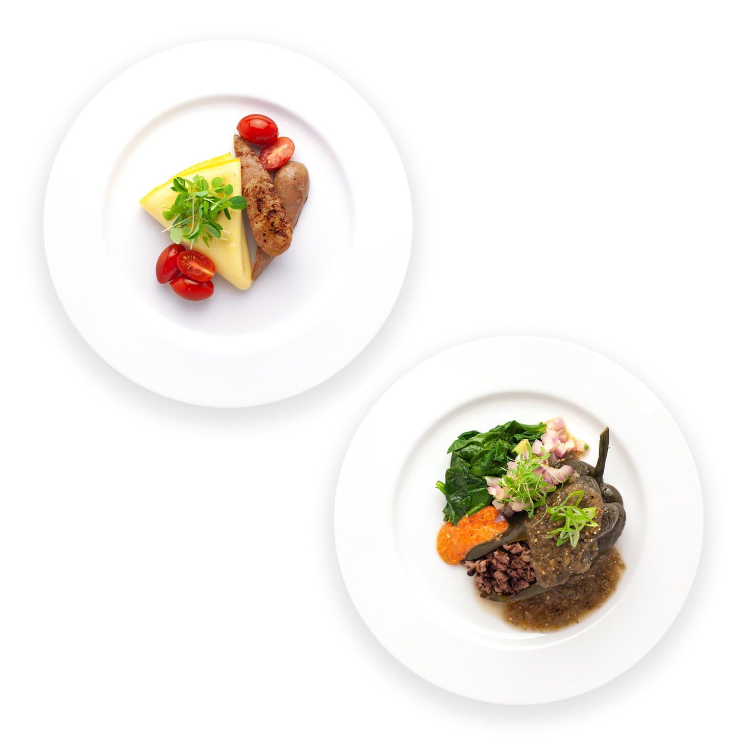 Paleo Program