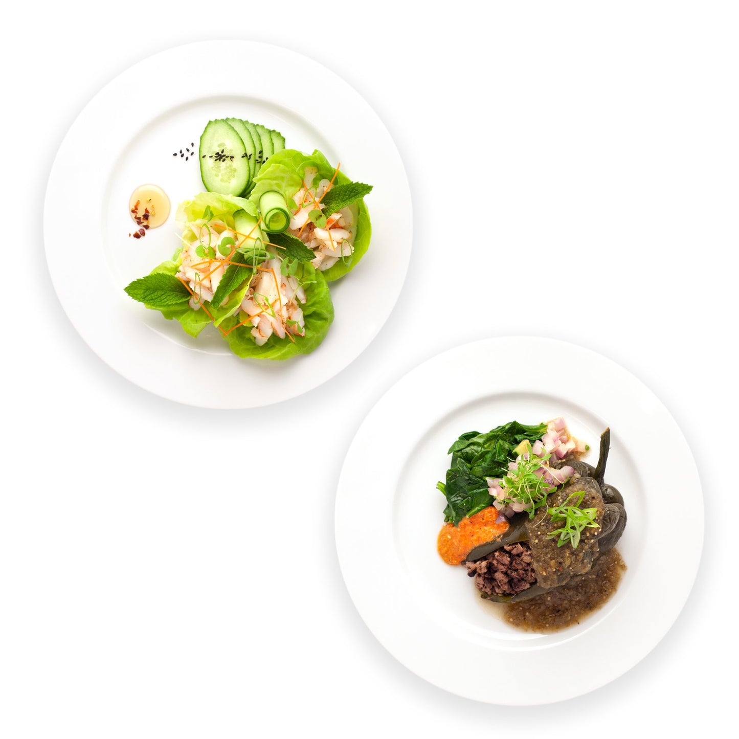 Paleo Program